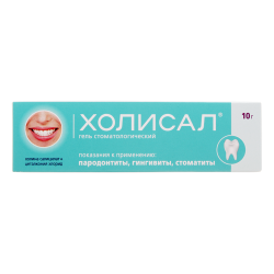 Холисал гель стоматологический 10 г 1 шт Холисал гель стоматологический 10 г 1 шт