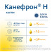Канефрон Н раствор для приема внутрь 100 мл 1 шт Канефрон Н раствор для приема внутрь 100 мл 1 шт