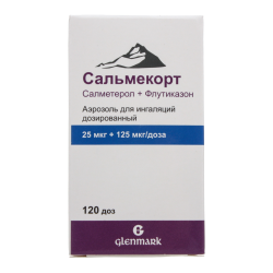 Сальмекорт аэрозоль для ингаляций дозированный 25 мкг+125 мкг/доза 120 доз 1 шт